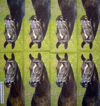 093 Horses - 4-ply - Sniff - Handkerchief